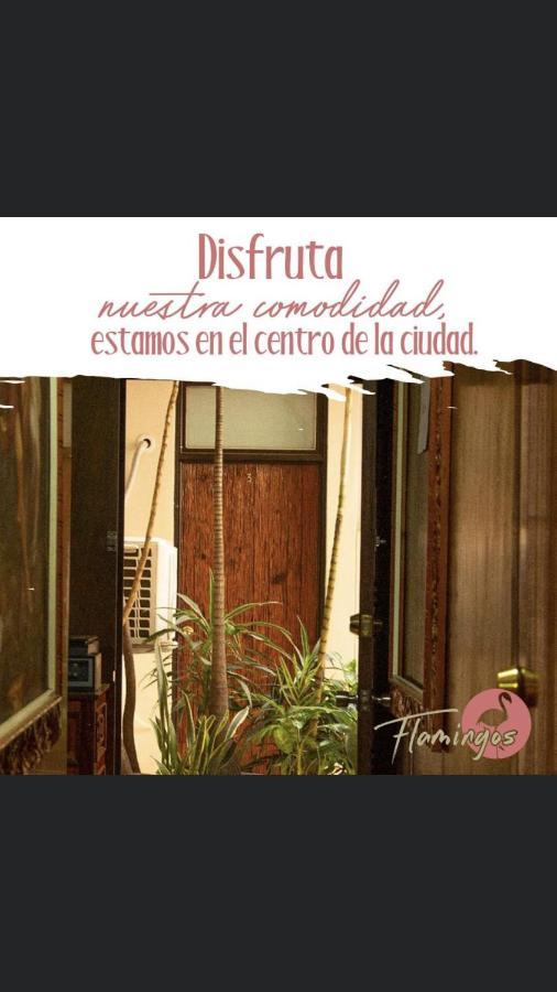 Hotel Flamingos De Ciudad Guzman Exterior foto